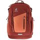 Deuter StepOut 22 (Sienna Redwood)