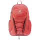 Deuter Gogo (Currant Redwood)