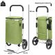 ShoppingCruiser Allround 41 (Green)