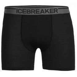 Icebreaker Anatomica Long Boxers Men