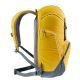 Deuter Walker 24 (Turmeric Arctic)