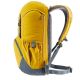 Deuter Walker 24 (Turmeric Arctic)