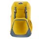 Deuter Walker 24 (Turmeric Arctic)